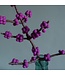 Felt branch Calicarpa purple - 50 cm