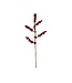 Felt branch - red berries - length 50 cm
