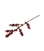 SjaalmetVerhaal Felt branch - red berries - length 50 cm