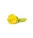 Vilten tulp corsage - 9 cm - multicolour assortiment