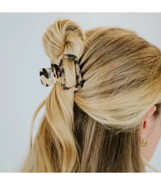 Andy Clip Brown