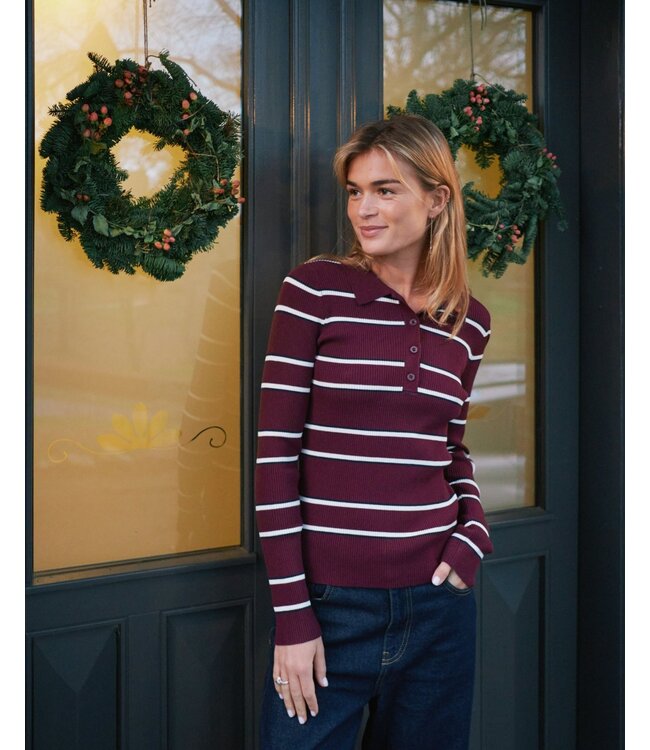 Jillan Polo Knit Blouse
