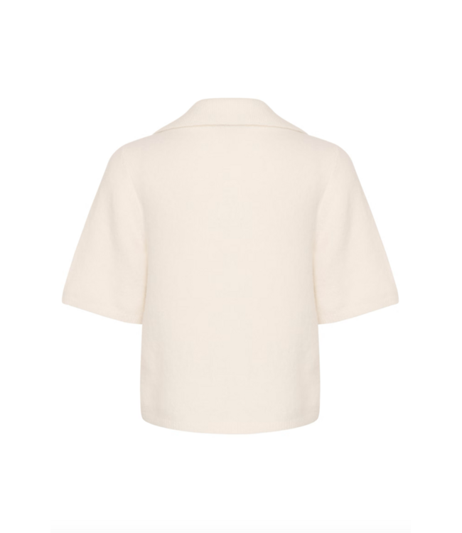 Alpha SS Polo Pullover