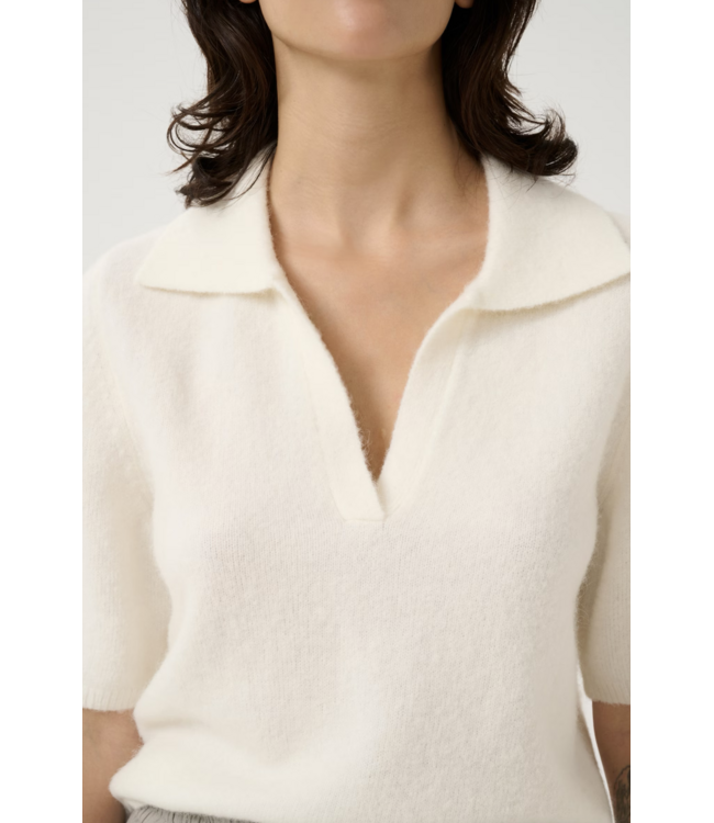 Alpha SS Polo Pullover