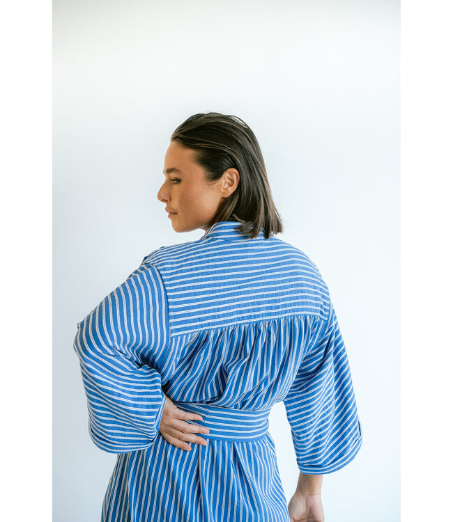 Ivy Dress Cobalt Stripe