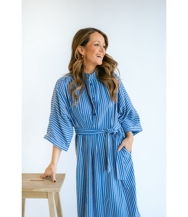 Ivy Dress Cobalt Stripe