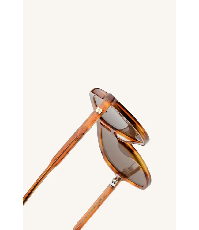 Steph Sunglasses Caramel