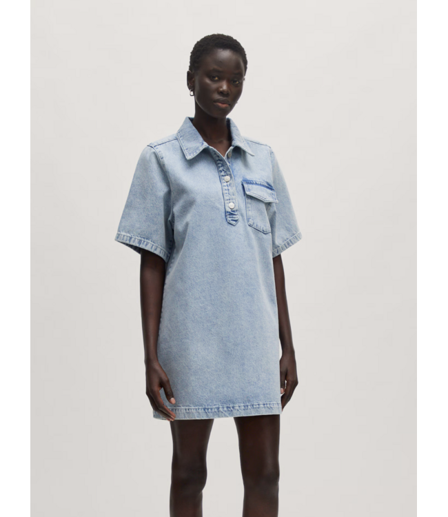 Asta Denim Dress