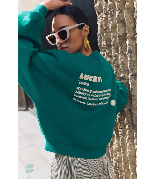 Bibi Dictionary Big Sweater