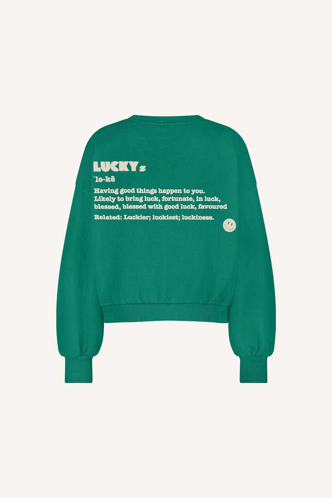 Bibi Dictionary Big Sweater