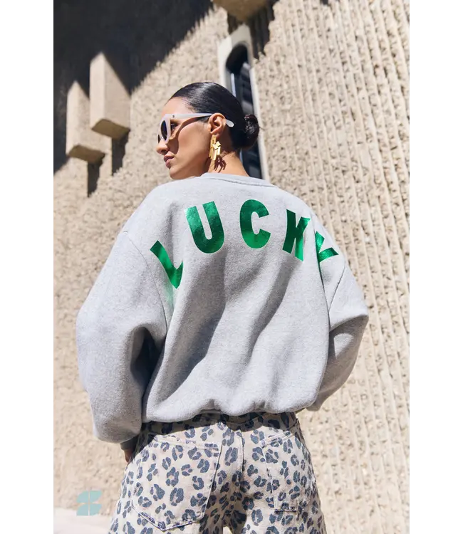 Bibi Lucky Curve Sweater Grey Melange