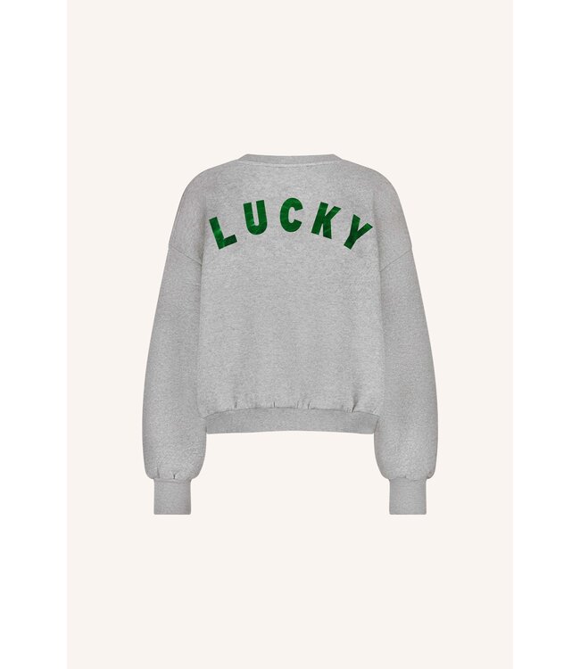 Bibi Lucky Curve Sweater Grey Melange