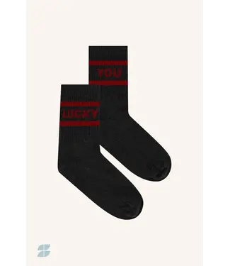 Lucky Sparkle socks wine