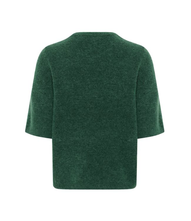 Alpha SS Kint Posy Green Melange