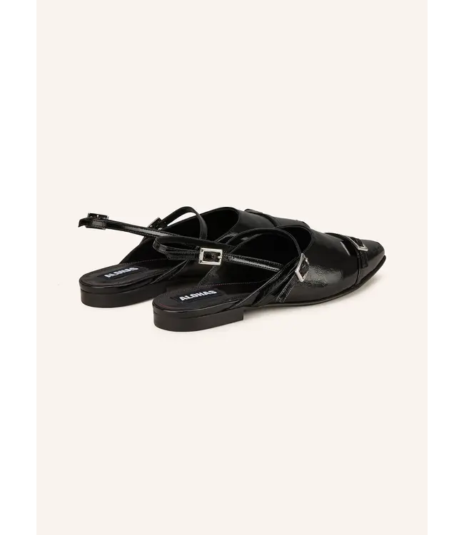 Ashlee Onix Black Leather Ballet Flats