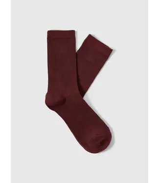 Rose Sock Fig