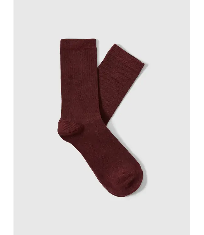 Rose Sock Fig
