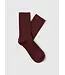 Rose Sock Fig