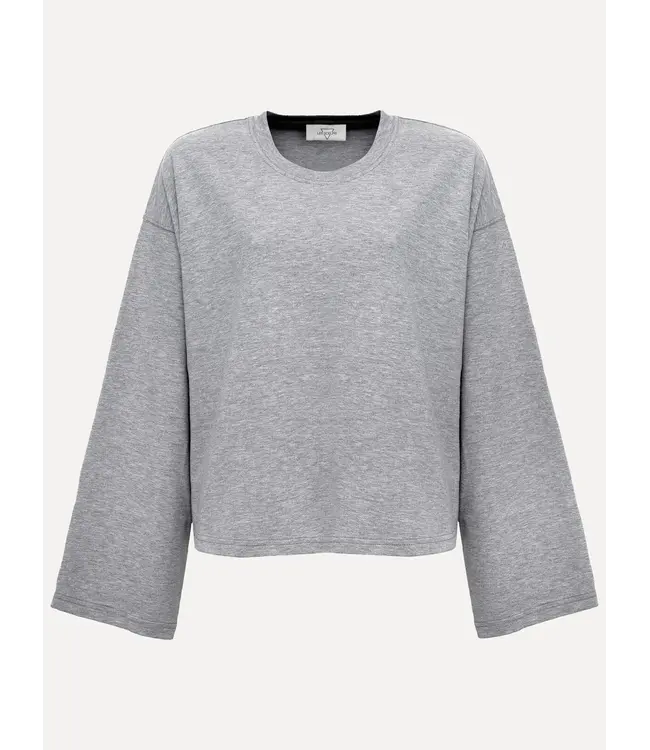 Aline T-shirt Grey Melange