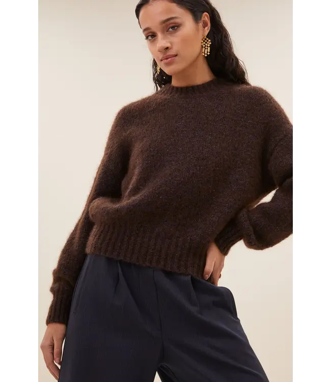 Sunny Sparkle Pullover Dark Brown