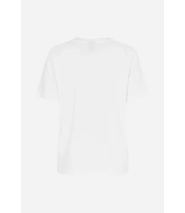 Baum Und Pferdgarten Jawo Tshirt Baum Cat