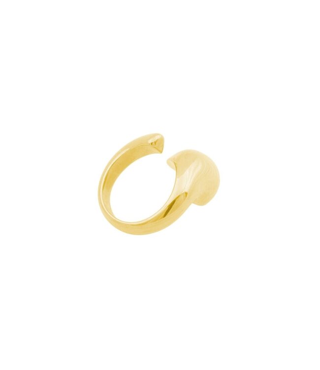 Bandhu Liquefy ring Gold Plated