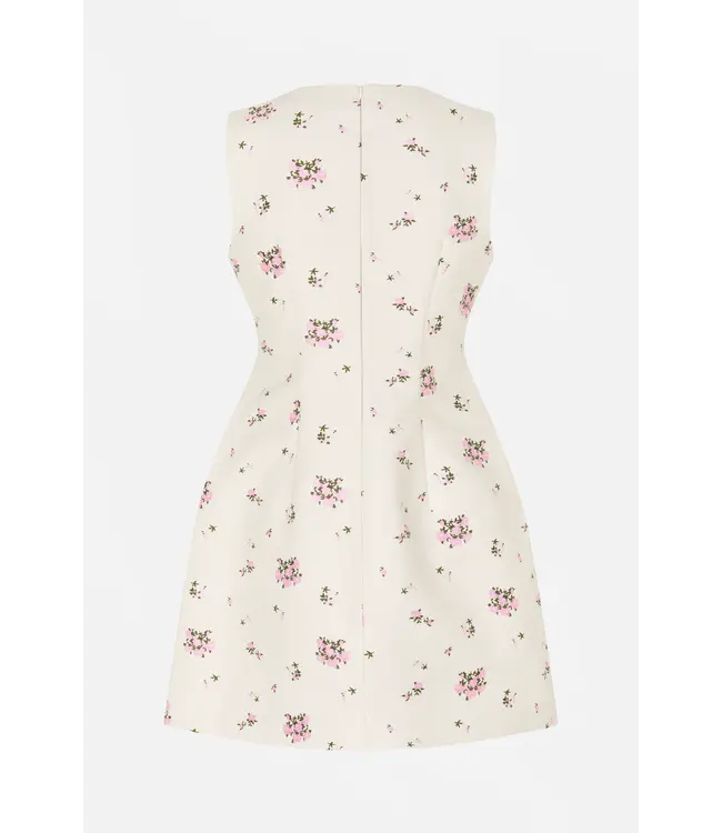 Baum Und Pferdgarten Amayah Fuschia Pink Flower