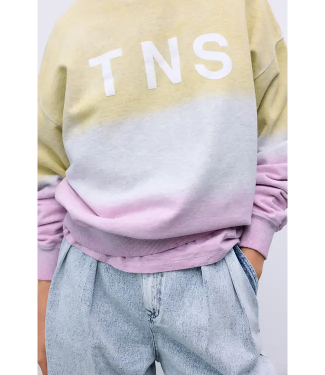 The New Society Tie Dye Sweatshirt