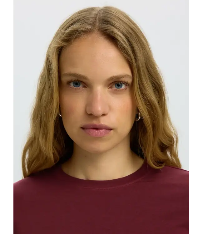 Selected Femme Manja Ls O-Neck Tawny Port