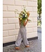 Neo Noir Roxane Balloon Check Pants