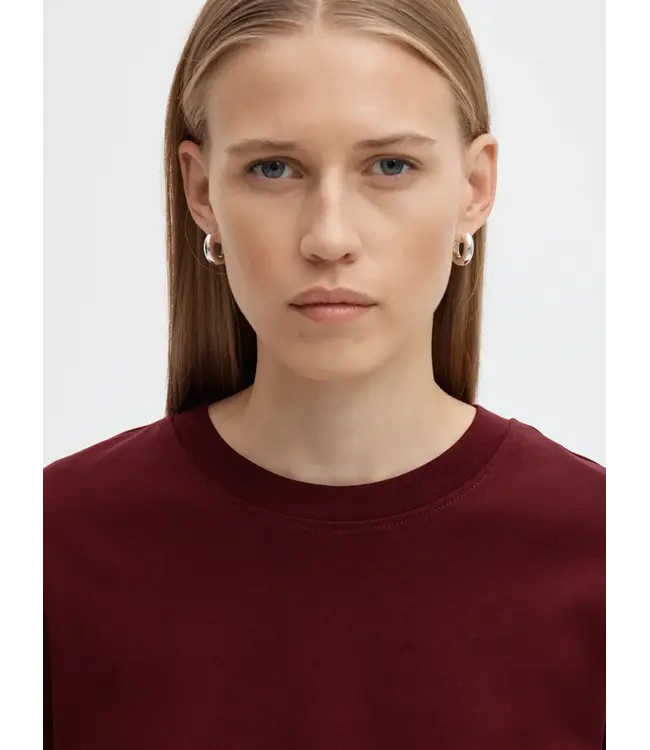 Selected Femme Essential Boxy Ls O-neckTP