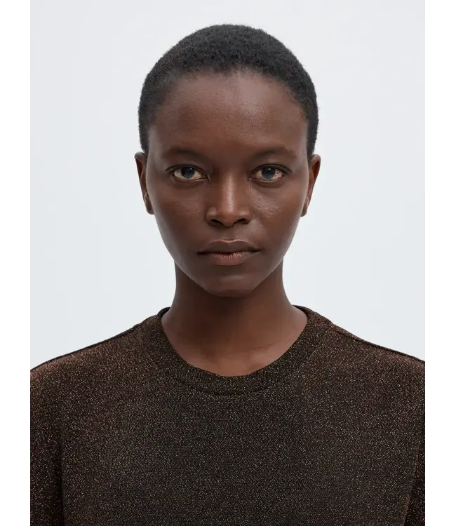 Selected Femme Nori Ss Boxy T-shirt