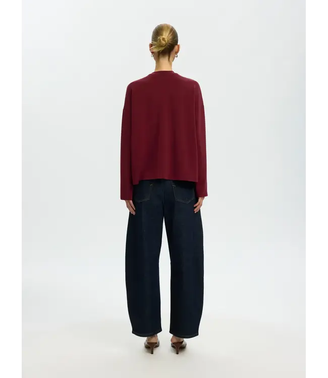 Selected Femme Oversized Ls Tenny T-shirt