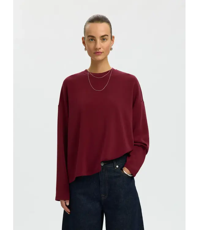 Selected Femme Oversized Ls Tenny T-shirt