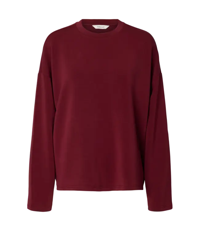 Selected Femme Oversized Ls Tenny T-shirt