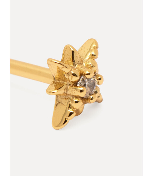 Les Soeurs Jolie Polarstar Earring