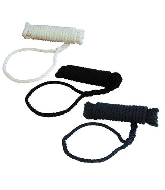 Talamex Landvast diameter 10 mm lengte 10 meter met paaloog