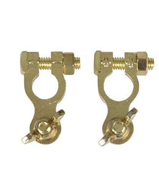 Talamex Set accuklemmen met vleugelmoer koper verguld