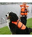 Besto Hondenzwemvest Oranje