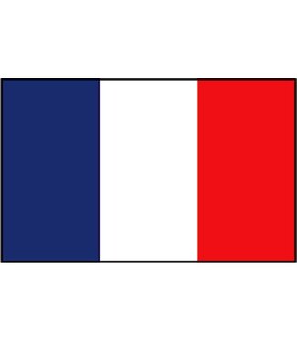 Boot vlag Frankrijk 20 x 30 cm