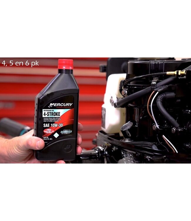 Quicksilver Buitenboordmotor olie 1 l 4-takt 10W-30