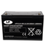 LFP V12-100 12 volt 1280 Wh Smart Lithium LiFePo4 accu