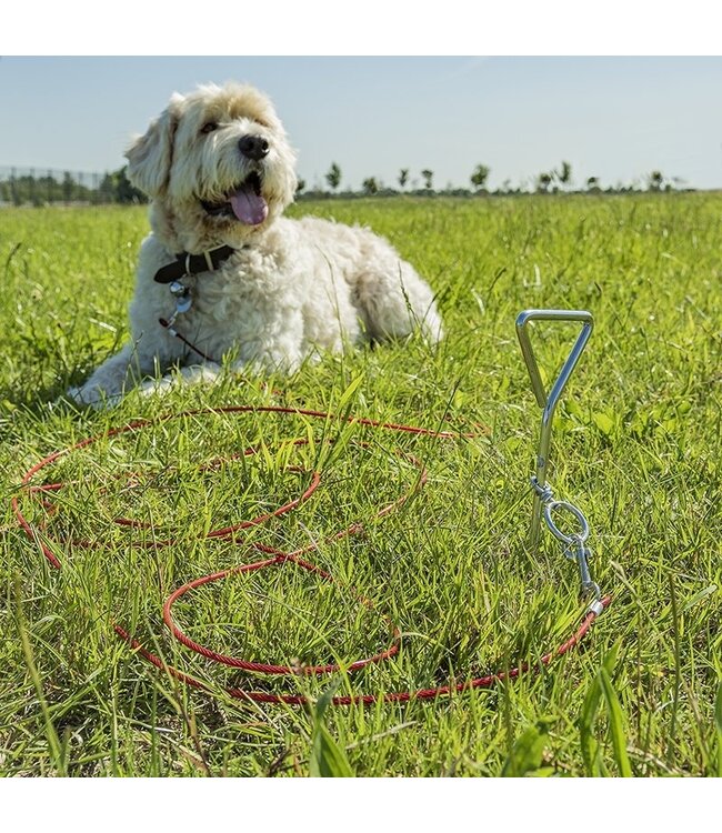 Talamex RVS Spiraal grondanker met oog