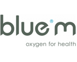BlueM