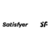 Satisfyer