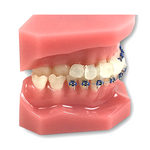 GUM Orthodontisches Wachs für Zahnspangen GUM Sunstar GUM Orthodontisches Wachs für Zahnspangen