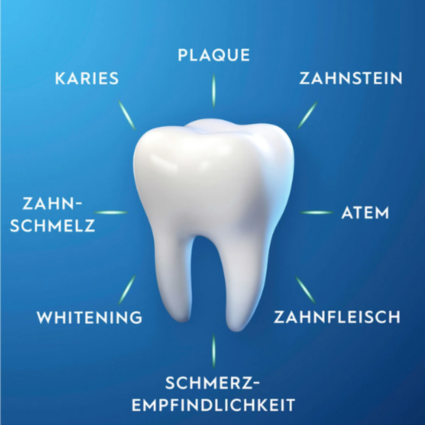 Oral-B Pro-Expert Frischer Atem Zahnpasta – 75 ml Oral-B Oral-B Pro-Expert Frischer Atem Zahnpasta – 75 ml