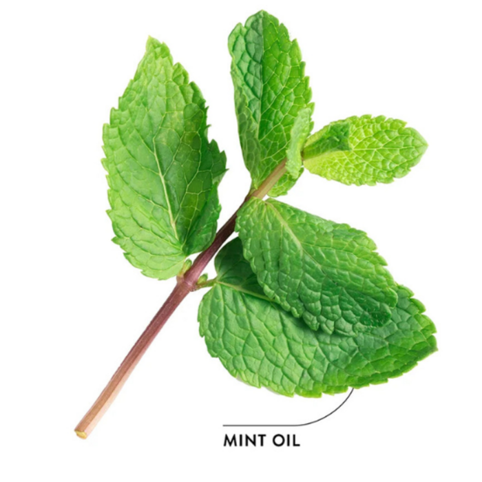 EcoDenta EcoDenta Extraordinary Whitening Mundspülung – 500 ml