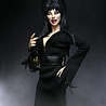 Neca Elvira, Mistress of the Dark Clothed Action Figure 20 cm Neca Elvira, Mistress of the Dark Clothed Action Figure 20 cm