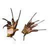Neca Nightmare On Elm Street Replica 1/1 Freddy's Glove Neca Nightmare On Elm Street Replica 1/1 Freddy's Glove